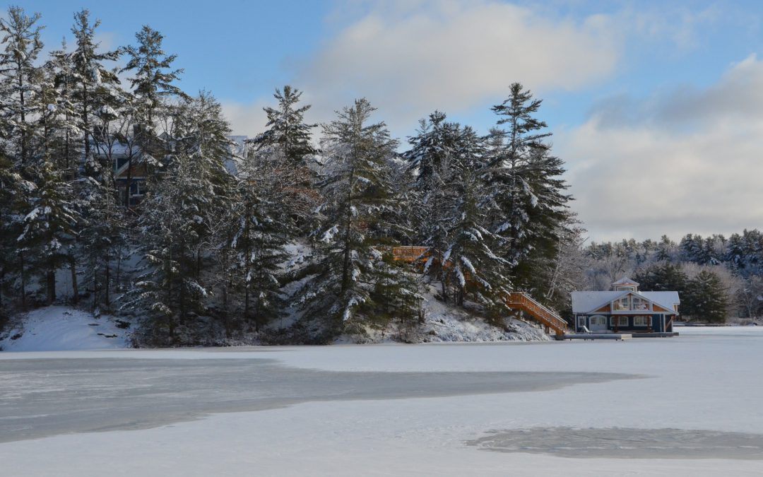 Winter at the Cottage